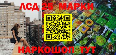 Альфа ПВП Краснокаменск