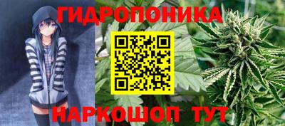 молекула духа Краснознаменск