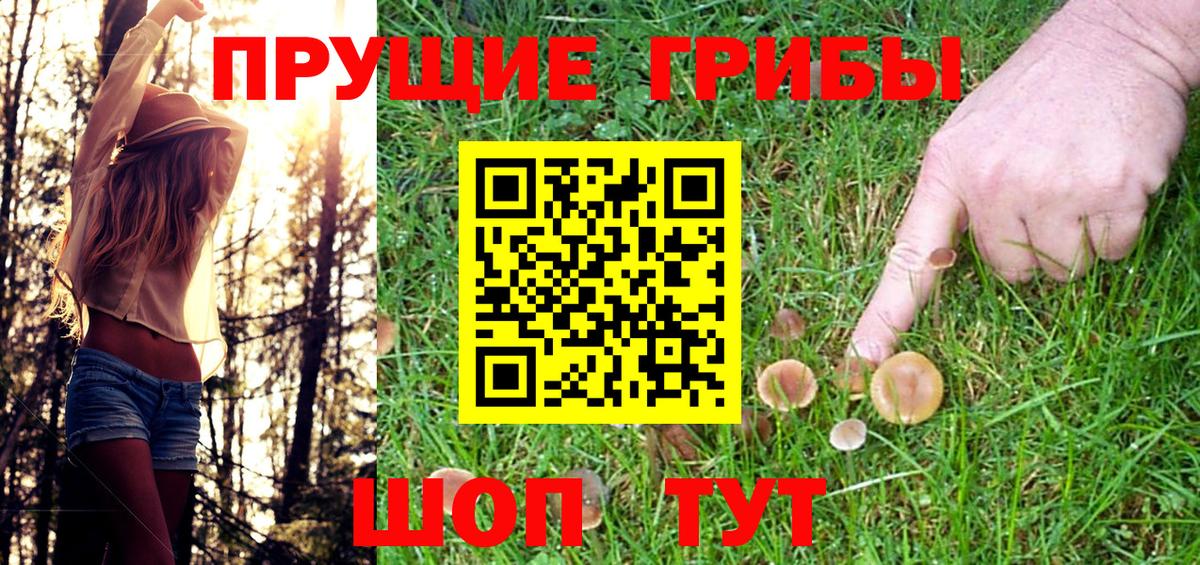 Галлюциногенные грибы прущие грибы Фрязино