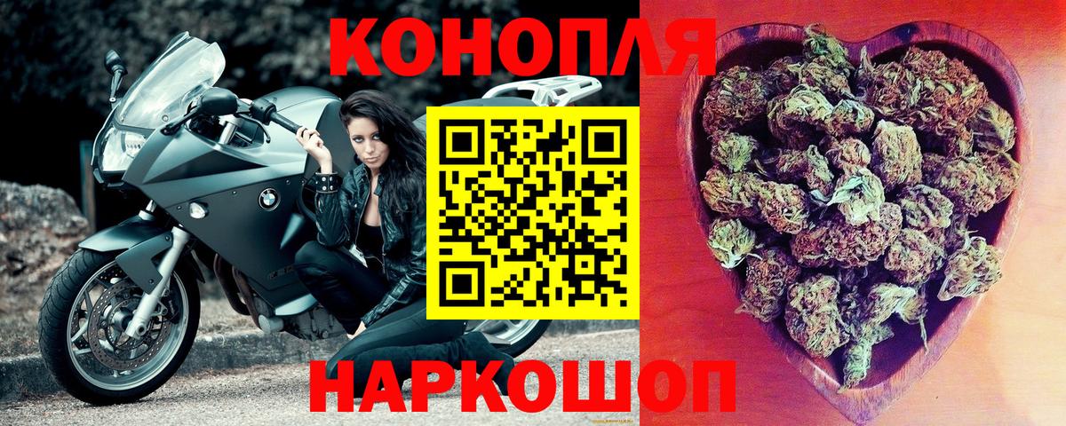 Фрязино  Канабис гибрид  Марихуана план  Бошки марихуана семена  Вход с VPN  МАРИХУАНА сатива 